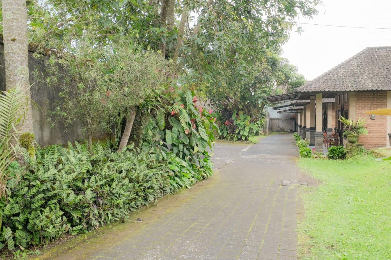 Pelangi Homestay Bedugul Redpartner Luaran gambar